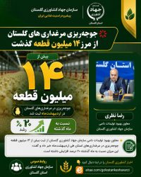 جوجه‌ریزی مرغداری‌های گلستان از مرز ۱۴ میلیون قطعه گذشت