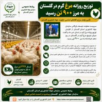 توزیع روزانه مرغ گرم در گلستان به مرز ۹۰۰ تن رسید