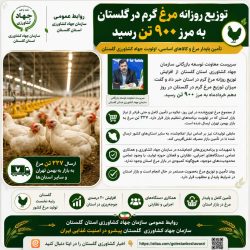 توزیع روزانه مرغ گرم در گلستان به مرز ۹۰۰ تن رسید