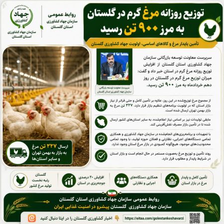 توزیع روزانه مرغ گرم در گلستان به مرز ۹۰۰ تن رسید