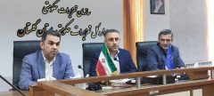 تعزیرات بر بازار جوجه یک‌ روزه متمرکز شد