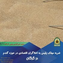 ضربه مهلک پلیس‌ به اخلاگران اقتصادی در حوزه گندم