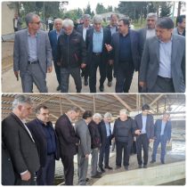 از مدیریت بهینه آب تا تقویت ذخایر خاویاری؛ عملکرد موفق مرکز شهید مرجانی آق‌قلا