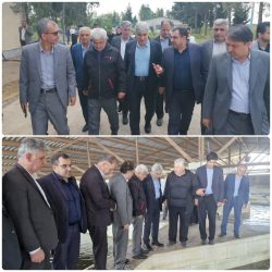 از مدیریت بهینه آب تا تقویت ذخایر خاویاری؛ عملکرد موفق مرکز شهید مرجانی آق‌قلا