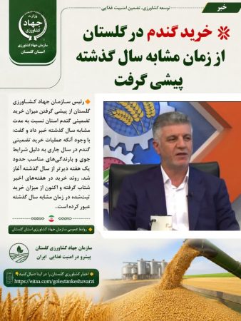 خرید گندم در گلستان از زمان مشابه سال گذشته پیشی گرفت