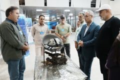 مدیرکل فرهنگ و ارشاد اسلامی گلستان: باران‌خواهی اقوام گلستان در جشنواره تجسمی فجر روایت شد
