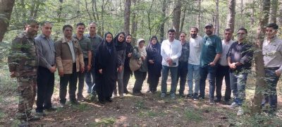 جنگلداری نوین؛ گامی در مسیر مدیریت پایدار جنگل‌های هیرکانی