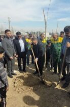 درخت نشانه قدرت و عظمت پرودگار است