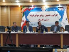 رفع مشکلات ۳ واحد تولیدی گلستان در کارگروه تسهیل استان
