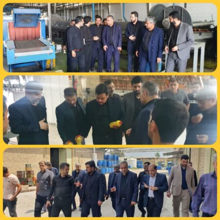 بازدید دکتر شهریاری بازرس ویژه رئیس قوه قضاییه از شهرک صنعتی علی آباد