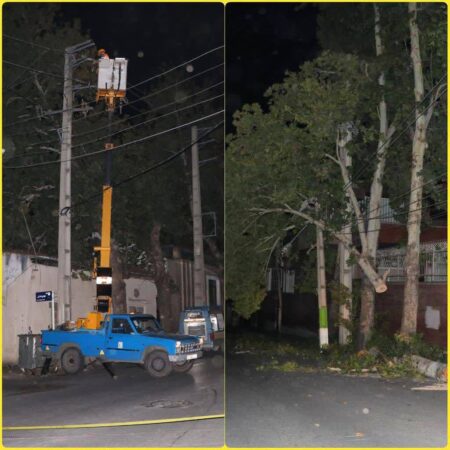سقوط ۱۱۶ اصله درخت برروی شبکه برق، خسارت ناشی از طوفان ۲۵ مهر در گلستان