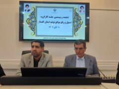 حل مشکلات ۶ واحد تولیدی گلستان در ستاد تسهیل استان