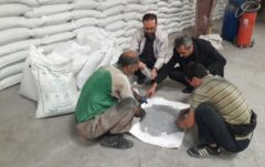 اجباری شدن مصرف کود استاندارد؛ لازمه تولید محصول سالم