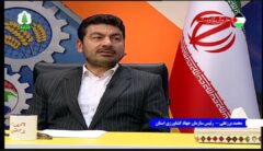 ذخیره بسیار مناسبی از بذر در استان وجود دارد