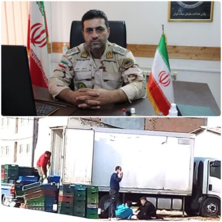 ۴/۵ تن ماهی کفال غیر استاندارد در گلستان کشف شد