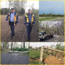 پایداری کامل شبکه برق در گلستان/ بیش از یک میلیارد تومان خسارت به شبکه برق وارد شد