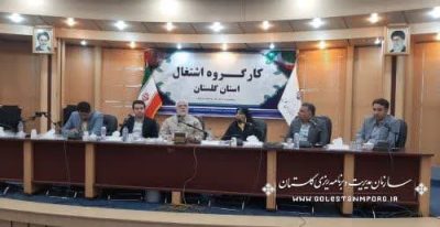 جلسه کارگروه اشتغال استان با حضور دکتر همتیان رییس دبیرخانه ستاد حمایت از مشاغل خانگی کشور