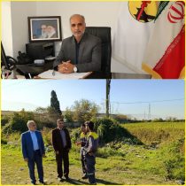 رشد ۵۰۰درصدی شبکه فیبر نوری در شرکت توزیع نیروی برق استان گلستان