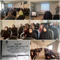 برگزاری کارگاه آموزشی افزایش ضریب نفوذ بیمه کشاورزی با استفاده از ظرفیت تسهیلگران زن روستایی و عشایری