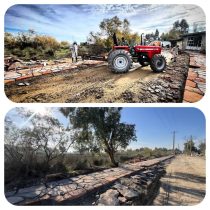 کاشت ۱۵۰۰ اصله درخت در معابر روستای قدیم آشوراده