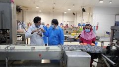 مدیرکل شیلات گلستان از کارخانه تن ماهی بندرعباس بازدید کرد