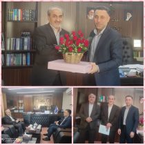 اختلاف زیادتعرفه های خدمات تشخیصی ودرمانی بخشهای دولتی وخصوصی مهمترین چالش وعامل جذب پزشکان دربخشهای خصوصی است