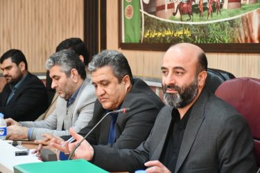 موفقیت حاصل کار تیمی و مهم‌ترین اصل در کار تیمی هم‌دلی، هماهنگی و تعامل است