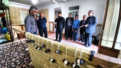 بازدید مدیرکل بنیاد مسکن انقلاب اسلامی استان گلستان از کارگاه های حصیربافی در روستای سایر