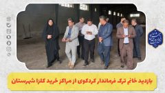 بازدید خانم ترک فرماندار کردکوی از مراکز خرید کلزا