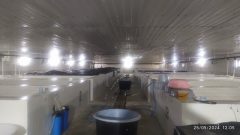 نوید رونق اقتصادی و اشتغالزایی در سواحل شمالی