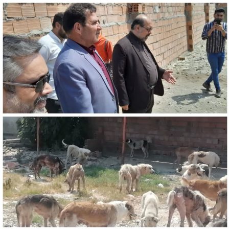 بازدید شهردار کردکوی از مرکز موقت جمع آوری و نگهداری حیوانات بلاصاحب