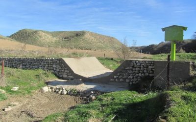 تهیه فلور و بانک بذر مرتع حوزه آبخیز زوجی کچیک/ مساحت حوزه ۳۶۰۰ هکتار است