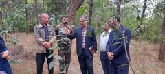 تور رسانه ای بازدید از درختان خطر ساز پارک جنگلی کردکوی برگزار شد