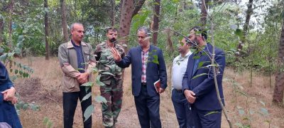 تور رسانه ای بازدید از درختان خطر ساز پارک جنگلی کردکوی برگزار شد