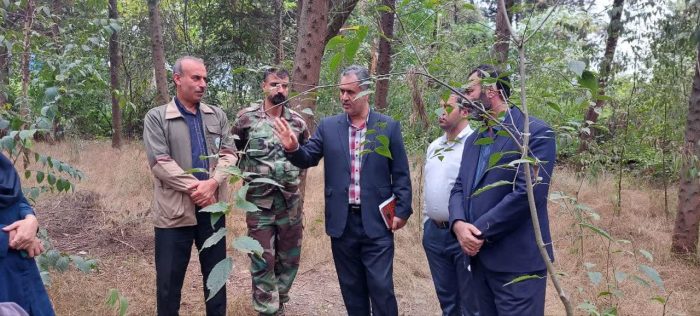 تور رسانه ای بازدید از درختان خطر ساز پارک جنگلی کردکوی برگزار شد