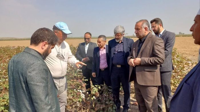 استفاده از ظرفیت های قانون برای کمک به توسعه کشاورزی حفاظتی در گلستان