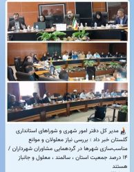 بررسی نیاز معلولان و موانع مناسب‌سازی شهرها در گردهمایی مشاوران شهرداران / ۱۴ درصد جمعیت استان ، سالمند ، معلول و جانباز هستند