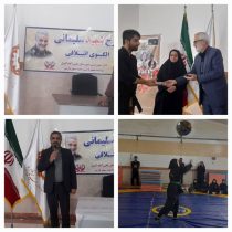 برگزاری جشنواره فرهنگی ورزشی شهید سلیمانی در شهرستان علی آباد کتول