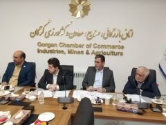 بررسی مشکلات ۶ واحد‌ تولیدی گلستان در بیست وچهارمین جلسه کارگروه تسهیل استان
