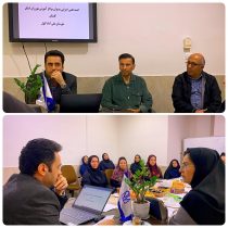 کمیته علمی اجرایی مدیران مراکز آموزش بهورزان استان گلستان در مرکز آموزش بهورزی شهرستان علی آباد کتول برگزار شد