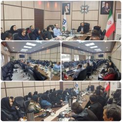 کارشناسان آزمایشگاه مستقر در کارخانجات آرد نقش نظارتی و مؤثر در امنیت غذایی دارند