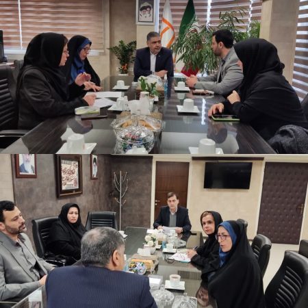 تاکید مدیرکل بهزیستی گلستان بر تسریع در پرداخت تسهیلات مسکن مددجویان