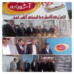 بازدید معاون امور تعاون وزارت تعاون، کار و رفاه اجتماعی از شرکت تعاونی بشارت آشوراده