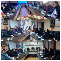 جلسه کمیته رسانه ستاد مرکزی هماهنگی جوانی جمعیت دانشگاه علوم پزشکی گلستان برگزار شد