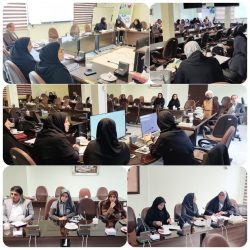 برگزاری اولین کارگروه دانشگاهی پیشگیری و مقابله با سقط عمدی جنین در سال جدید