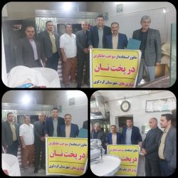 مانور استفاده از سوخت جایگزین خبازی های شهرستان کردکوی