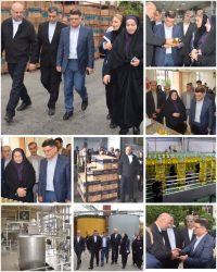 محصولات کارخانه تولیدی رعنای کردکوی باعث آرامش اقتصادی در منطقه می شود