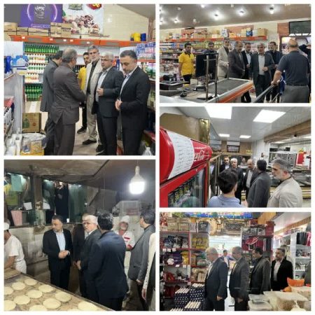 بازدید مدیر کل تعزیرات حکومتی استان گلستان از فروشگاهها و مراکز توزیع مایحتاج عمومی شهرستان علی آباد کتول
