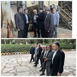 بازدید مدیر کل تعزیرات حکومتی گلستان از یکی از شرکتهای تولیدی در شهرستان علی آباد کتول