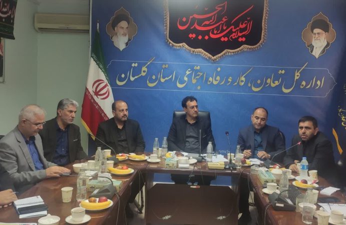 نشست مجمع نمایندگان با مدیرکل تعاون، کار و رفاه اجتماعی